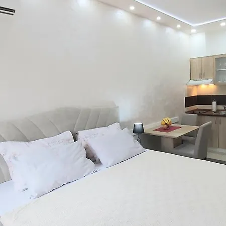Apartment Visnja *