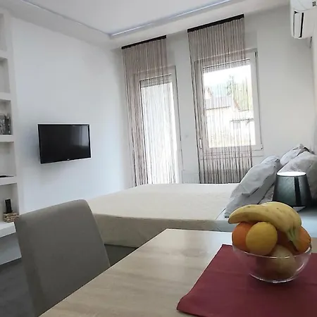 Apartment Visnja *
