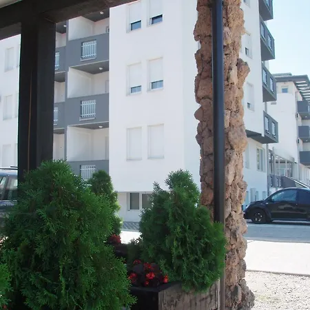 Apartment Visnja *