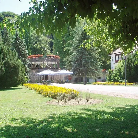 Apartment Visnja