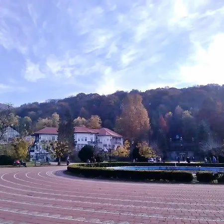 Visnja Apartment Banja Koviljaca