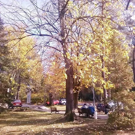 Visnja *