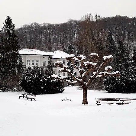 Appartamento Visnja *