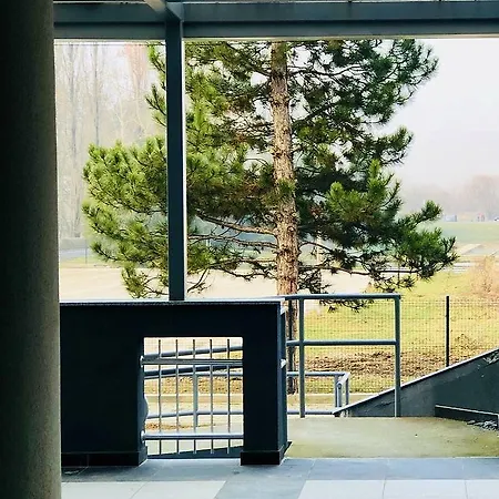 Visnja