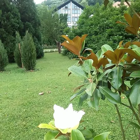 Visnja * Banja Koviljača