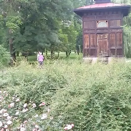 Apartment Visnja *