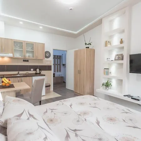 Apartment Visnja Banja Koviljaca