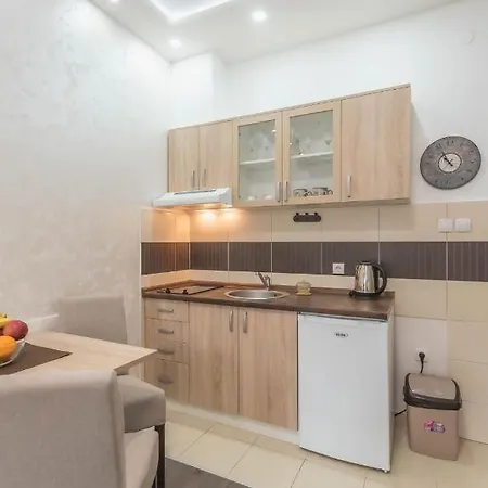 Apartment Visnja *