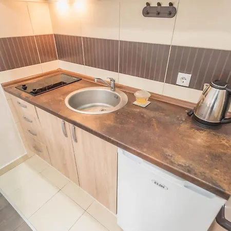 Apartment Visnja *