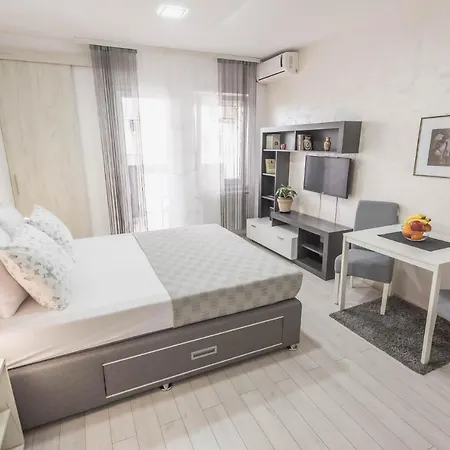 Apartment Visnja *