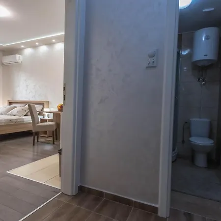 Visnja Apartment Banja Koviljaca