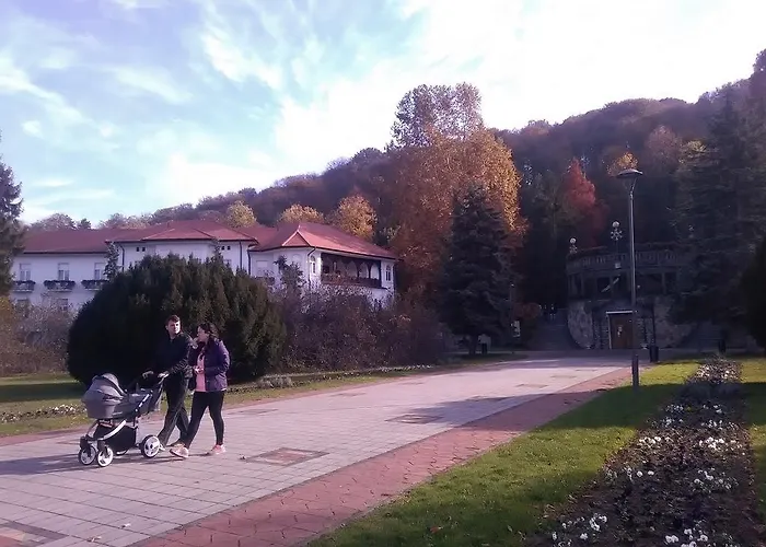 Apartment Visnja Banja Koviljača