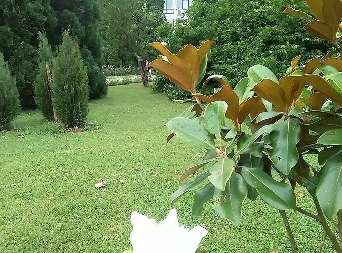 Visnja * Banja Koviljača